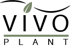vivoplant.com